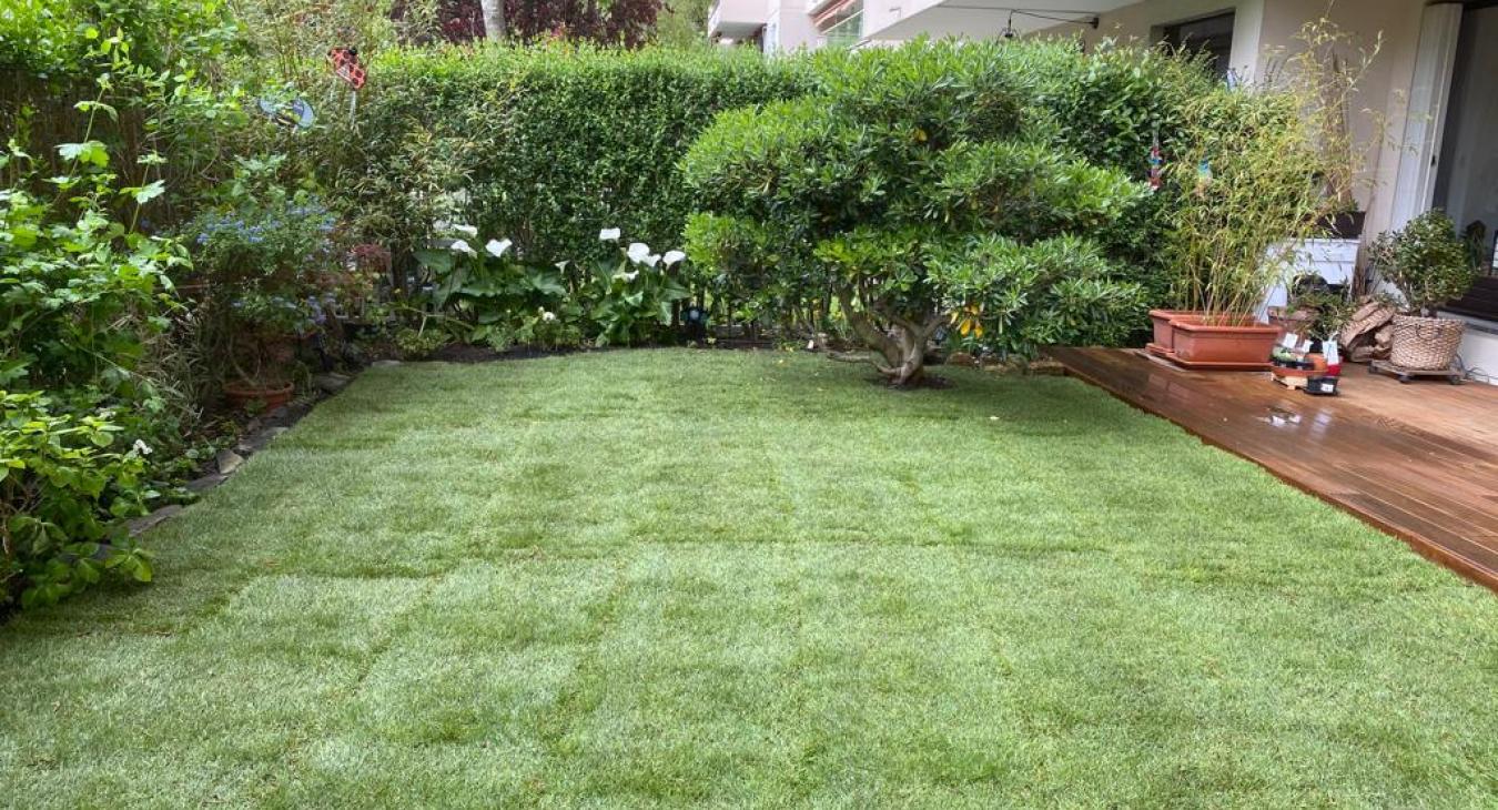 Aménagement de jardin & Pose de pelouse en rouleaux L'Isle-Adam